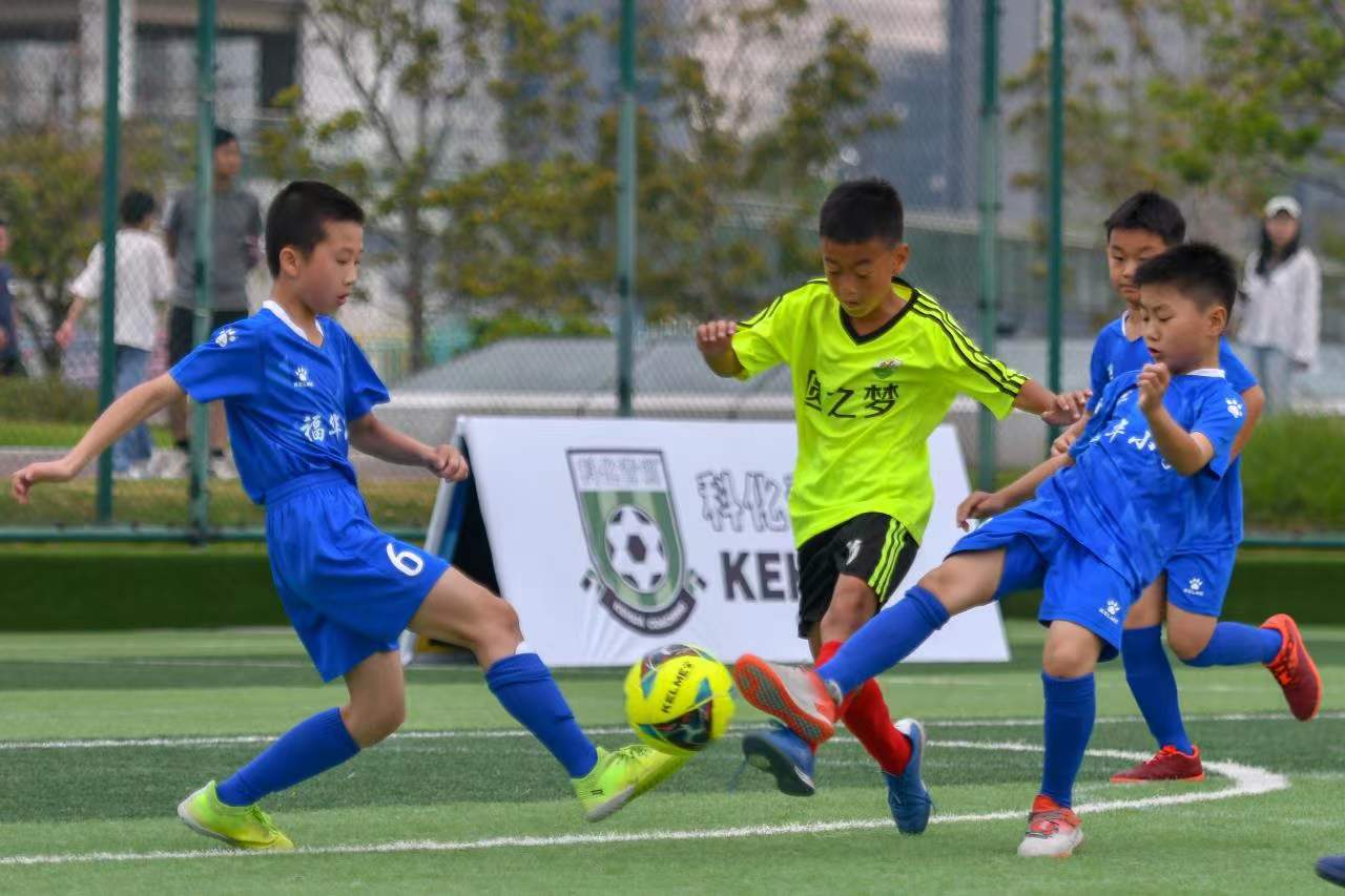 订阅优质知 订阅优质知