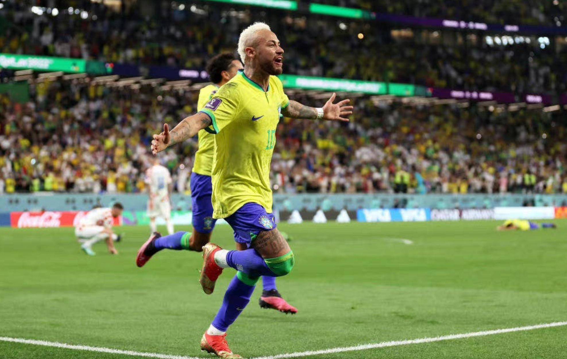 也是中国羽 也是中国羽